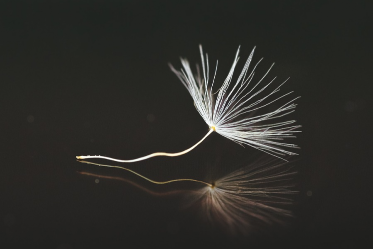 財政改革，遇上階段性困境