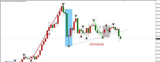 1608017518188888.jpg 3.jpg